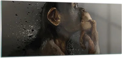 Produktbild von Bilder auf glas - Einteilig - Schimpanse Porträt Grafik - 100x40cm - Glasbilder - Wandbilder - Bilder - Wanddekoration aus Glas - Glas Bilder - Wandbild auf Glas - GAB100x40-4676