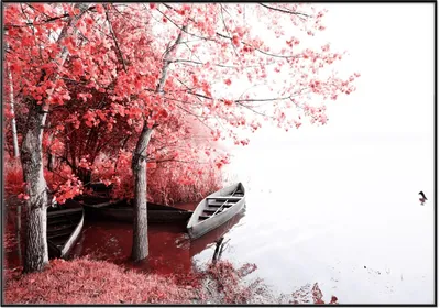 Produktbild von Wallario Wandbild Romantische Bootsanlegestelle in rot-weiß, Größe: 70,30 x 100,30 cm, Poster mit schwarzem Aluminiumrahmen