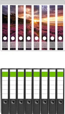 Produktbild von Wallario 8 Stück schmale Ordner inkl. Klebeetiketten mit Motive Lavendelfeld bei Sonnenuntergang - Sonnenstrahlen -  Set mit Rückenschildern / Ordnerrücken Stickern