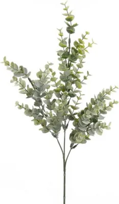 Produktbild von künstlicher Eucalyptus Zweig Kunstblätter 3 Zweige H. 68cm grün Emerald