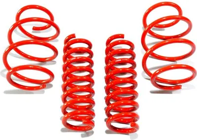Produktbild von Premium Sport Federn Tieferlegungsfedern für BMW 3er F30 40mm vorne hinten Set