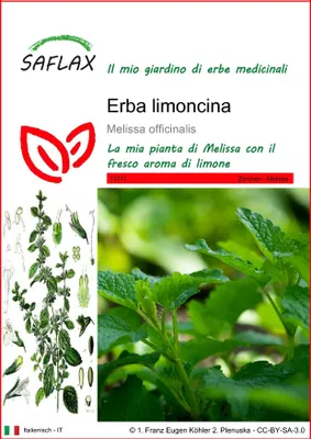 Immagine prodotto di SAFLAX  - Erba limoncina - 150 semi - Melissa