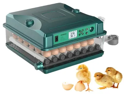 Produktbild von Brutmaschine - Automatischer Eierinkubator - 36 Eier - Automatische Wendung - Schubladenmodell - Für Hühner, Enten und Gänse