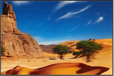 Produktbild von Wallario Wandbild In der Wüste Sahara, Größe: 61 x 91,50 cm, Poster mit schwarzem Aluminiumrahmen
