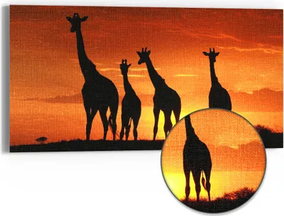 Produktbild von DEQORI Hybrid Leinwand Bild 60x30 cm 'Abend in der Savanne' Wandbild Glas flach modern