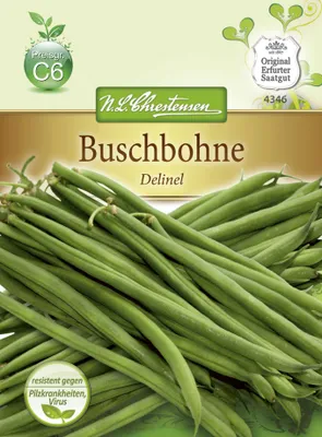 Produktbild von Buschbohne Delinel | Buschbohnensamen von N.L. Chrestensen