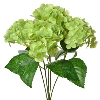 Produktbild von Clayre & Eef Kunstblume 45 cm Grün Kunststoff