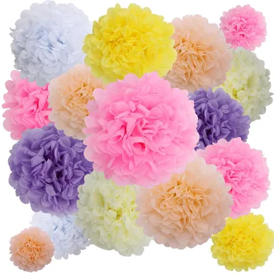 Productafbeelding van Set van 16 kleurrijke zijdepapier pompons voor feesten