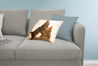 Produktbild von MuchoWow® Zierkissen Sofakissen Wohnzimmer Dekokissen 60x40 cm Katze - Kätzchen - Schwarz - Kopfkissen - Polster mit Foto