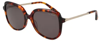Produktbild von Ted Baker Sonnenbrille TB1717 188 54 Damen Braun