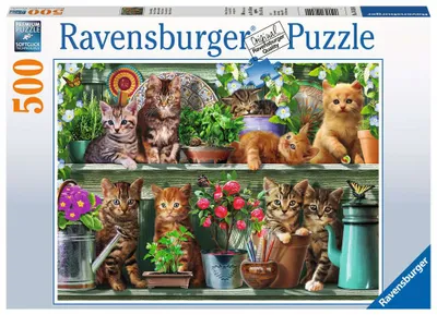Produktbild von Katzen im Regal Ravensburger 14824