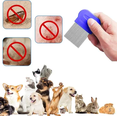 Produktbild von Anti-Läusekamm - Set von 4 - Für Katze und Hund - Hunde- und Katzenbürste mit Anti-Chips