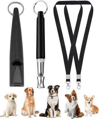 Image de Collier pour chien Ultrasone - Réglable, avec laisse, lot de 2, noir