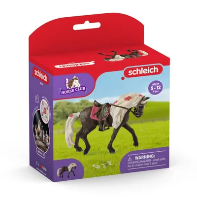 Obrázok produktu pre Výstava koní Rocky Mountain Horse Mare