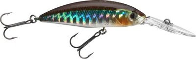 Obrázok produktu pre DAIWA Tournament Spike, Mini Wobbler, 5,3 cm, kibinago, 16710-607