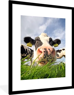 Produktbild von MuchoWow® Gerahmtes Poster Kuh - Bauernhof - Gras - Tiere 60x80 cm - Poster mit Schwarzem Bilderrahmen Wandposter Rahmen Foto Bilder - Wohnzimmer - Dekorationen - Prämie