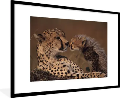 Produktbild von MuchoWow® Gerahmtes Poster Gepardenmutter und Jungtier 90x60 cm - Poster mit Schwarzem Bilderrahmen Wandposter Rahmen Foto Bilder - Wanddekoration - Fotos