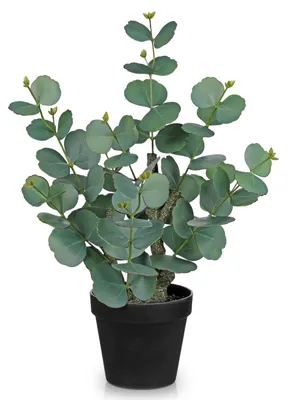 Immagine prodotto di Pianta artificiale di eucalipto in vaso - decorazione alta 46 cm