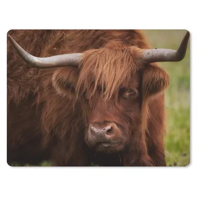 Produktbild von MuchoWow® Mauspad Mousepad Schottischer Highlander - Orange - Tiere 23x19 cm - Mousepads - Maus Mat - Pad - Mausunterlage - Schreibtischunterlage - Mauspad