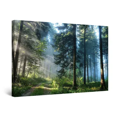 Produktbild von Startonight Obrazy Cesta v lese, Obrazy na plátně Moderní umění, Krajina Obrazy na zeď 60 x 90 cm, Obraz Den Noc