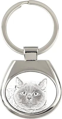 Produktbild von Britisch Kurzhaar - Schlüsselanhänger mit Katze, Anhänger mit Aufdruck, personalisierter Anhänger der Marke Art-Dog
