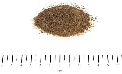 Produktbild von Canina Calcina Fleischknochenmehl, Hund, 800 g, Zahnpflege, Kalzium, Phosphorus, 50,3% Protein, 5,9% Phosphor, 12,6% Fettgehalt, 27,4% Rohasche, 12,2% Calcium, 1 Stück(e)