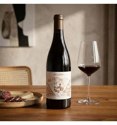 Produktbild von Volandia Mencía 2017 Rotwein Spanien Ribeira Sacra 75.00 cl 13.0 %