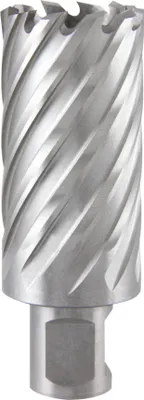Produktbild von Ruko Kernbohrer Durchmesser 32mm HSS Länge 50mm Weldon - 108532