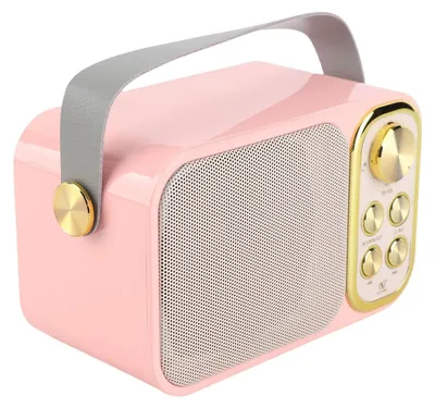 Obrázek produktu pro Bezdrátový karaoke mikrofon - Karaoke set - Bluetooth 5.0 - 3000 mAh - 6 efektů hlasu - Přenosný a multifunkční