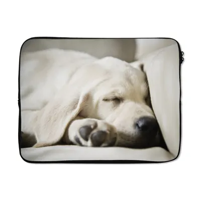 Produktbild von MuchoWow® Laptop Hülle 15 Zoll Schlafender Labrador-Welpe Laptoptasche - Laptoptasche - Sleeve - Rundum-Schutz