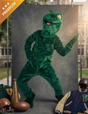 Produktbild von Frosch Maskottchen Kostüm Erwachsene grün - Einheitsgröße