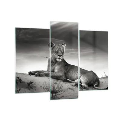 Produktbild von Bilder auf glas - Tierwelt weiblich katze Tier - 130x100cm - Glasbilder - Wandbilder - Kunstdruck - zum Aufhängen bereit - Wanddekoration aus Glas - Glas Bilder - Wandbild auf Glas - GCB130x100-3165