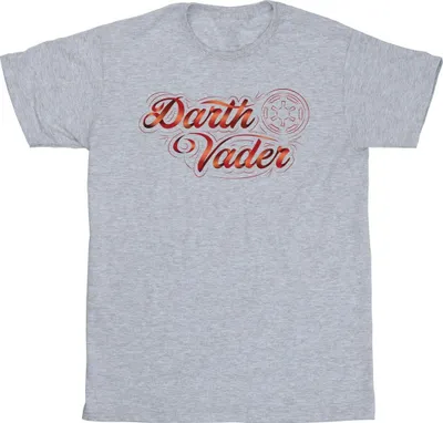 Produktbild von Star Wars - T-Shirt für Herren BI16744 (M) (Grau)