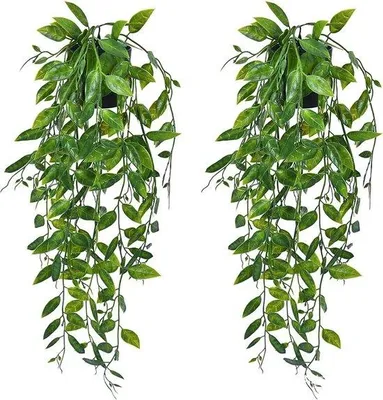 Produktbild von Famanu Kunstpflanzen Set 2 Stück - Eukalyptus in Kunststoff für Innen- und Außendekoration