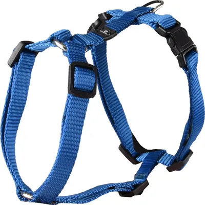 Produktbild von Flamingo Geschirr Ziggi blau, Größe: XS / Breite: 10 mm
