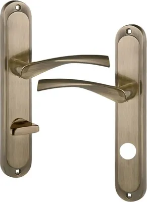 A pair of door handles with backplates, presented against a white background.