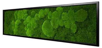 Produktbild von Moosbild Fifty Fifty Design (140x40, schwarz)