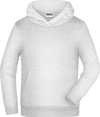 Produktbild von Promo Hoody Man Klassisches Kapuzensweat ash, Gr. S