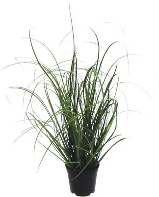 Produktbild von Kunstbusch Gras Kunststoff Höhe: 50 cm grün