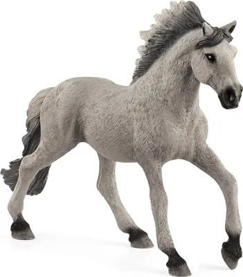 Produktbild von Schleich Farm World Sorraia Mustang Hengst