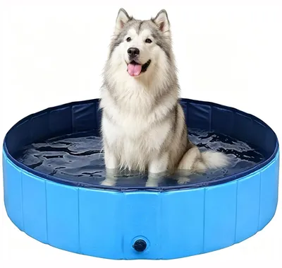 Productafbeelding van Opvouwbare Zwembad voor Grote Honden van PVC