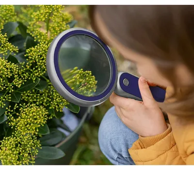 Produktbild von moses Expedition Natur Profi-Lupe mit Licht 10x