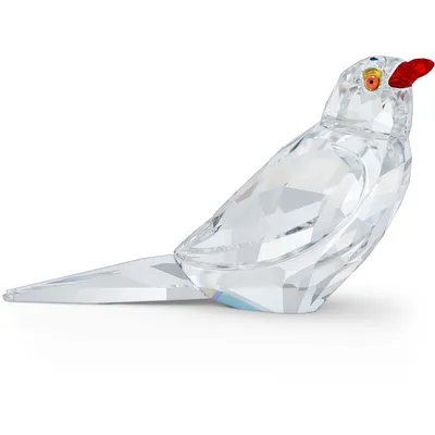 Zdjęcie produktu dla Swarovski ELEGANCE OF AFRICA:SCS OXPECKER 5557831 Neuheit 2021