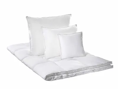 Obrázek produktu pro přikrývka prachové peří SILVER 140x220 1500g
