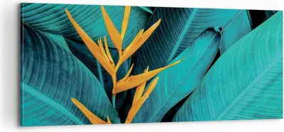 Produktbild von Bild auf Leinwand - Leinwandbild - Einteilig - Blumen Tropen Blätter - 100x40cm - Wand Bild - Wanddeko - Wandbilder - Leinwanddruck - Bilder - Wanddekoration - Leinwand bilder - AB100x40-5116