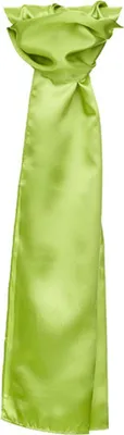 Produktbild von Damen Schal Satin Scarf - Farbe: Lime - Größe: 120 x 25cm