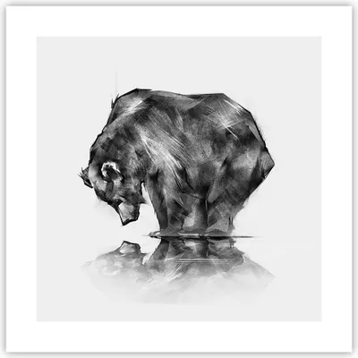 Produktbild von Poster - Poster ohne Rahmen - Bär Tier - 40x40 cm - Wand Bild - Wanddeko - Wandbilder - Kunstposter - Wandposter - Bilder - Kunstdruck - Wanddekoration - Wandbild - P2XAC40x40-3921