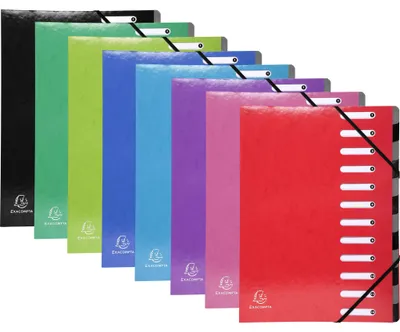 Produktbild von Exacompta 8x Ordnungsmappe Harmonika dehnbar Karton 12 Fächer sortiert 53929E