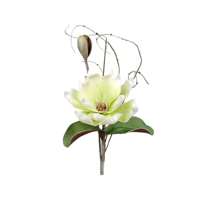 Produktbild von künstlicher Magnolienzweig mit 1 Blüte L. 45cm grün weiß Formano Foam Flower