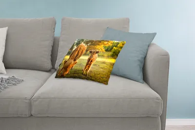 Produktbild von MuchoWow® Zierkissen Sofakissen Wohnzimmer Dekokissen 60x40 cm Schottisches Hochlandrind - Kalb - Herbst - Kopfkissen - Polster mit Foto